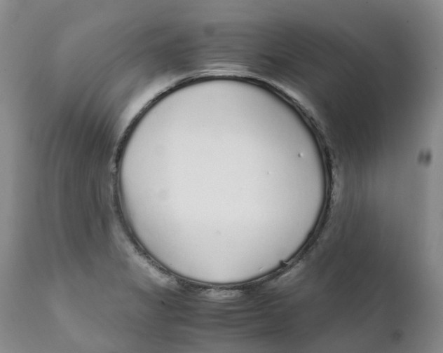 X0000111251325200907231543