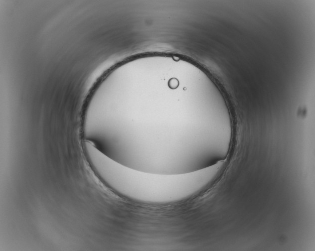 X0000111251326200907231543