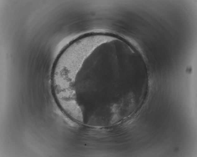 X0000111251327200907231543