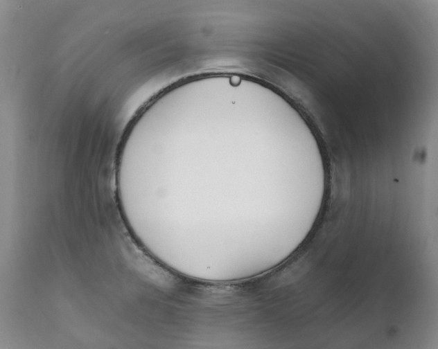 X0000111251328200907231543