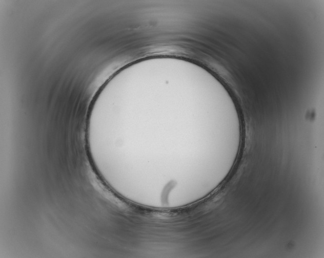 X0000111251330200907231543