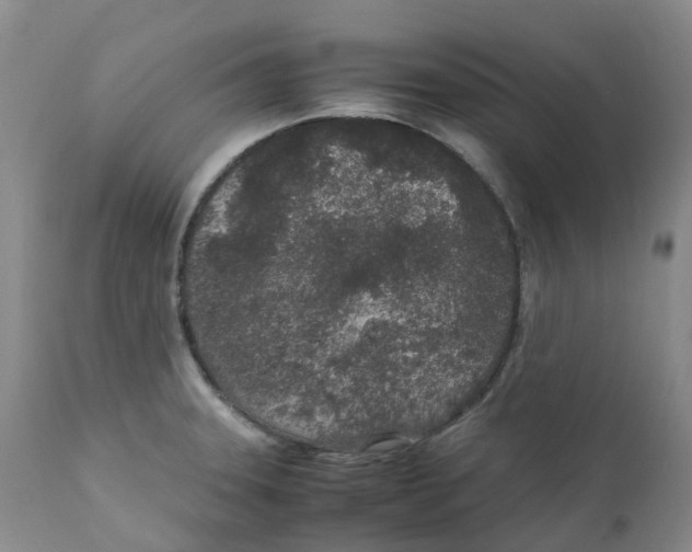 X0000111251331200907231543