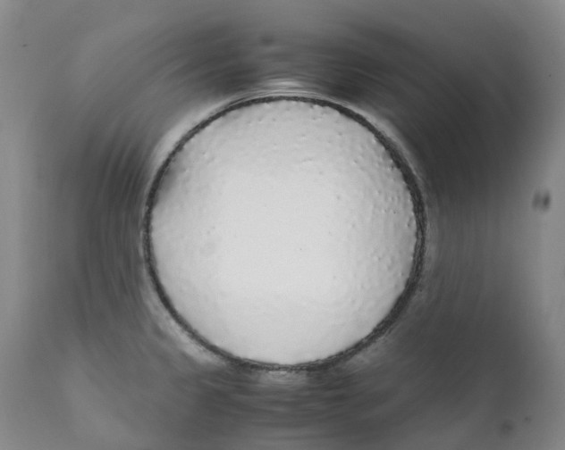 X0000111251333200907231543