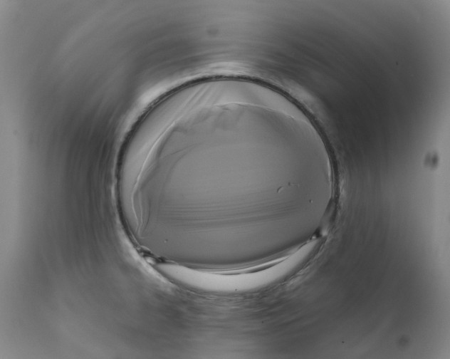 X0000111251334200907231543