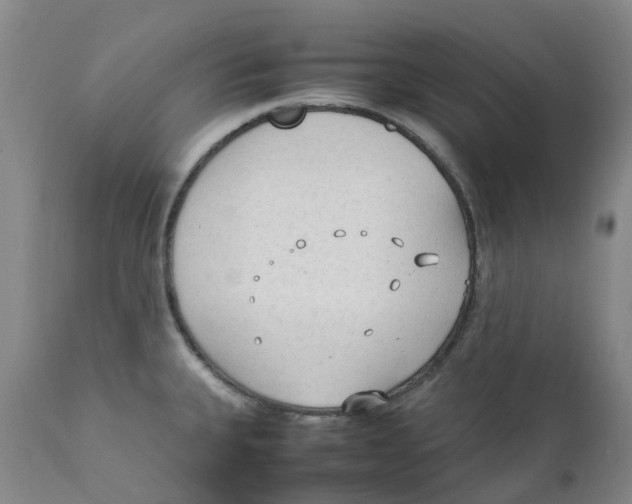 X0000111251335200907231543