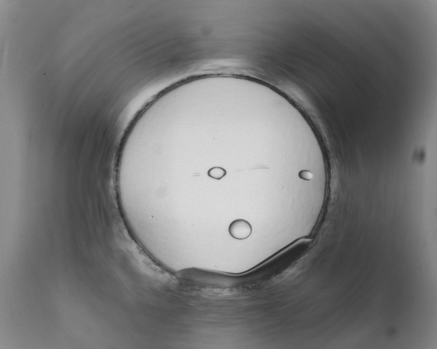 X0000111251336200907231543