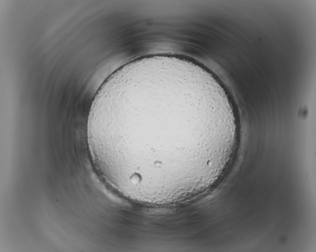 X0000111251337200907231543