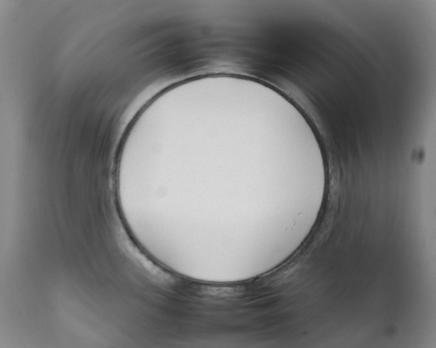 X0000111251339200907231543