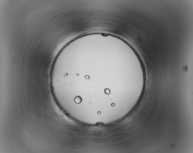 X0000111251341200907231544