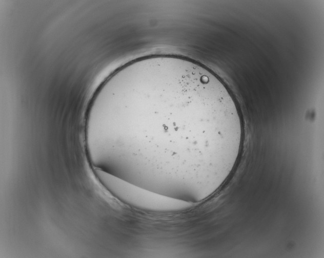 X0000111251342200907231544