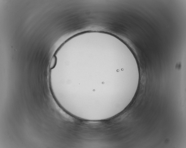 X0000111251343200907231544