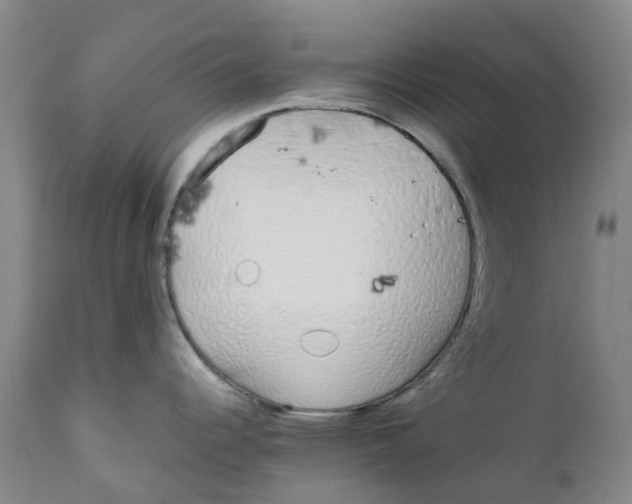 X0000111251344200907231544