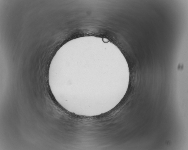 X0000111251345200907231543