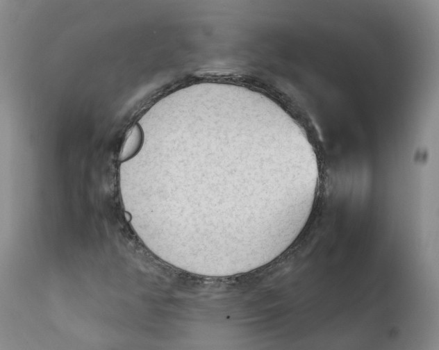 X0000111251350200907231543