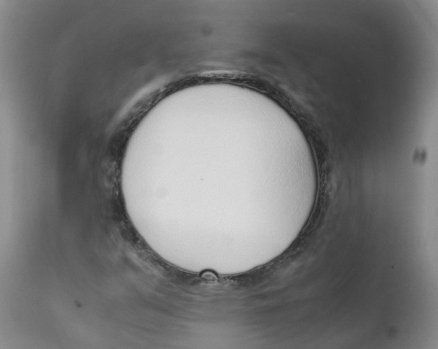 X0000111251351200907231543