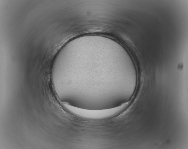 X0000111251353200907231543