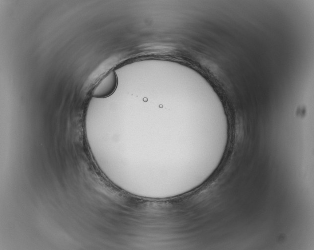 X0000111251354200907231543