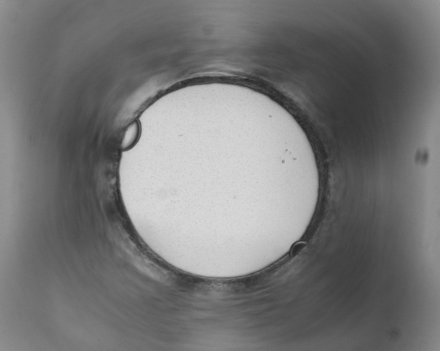 X0000111251355200907231543