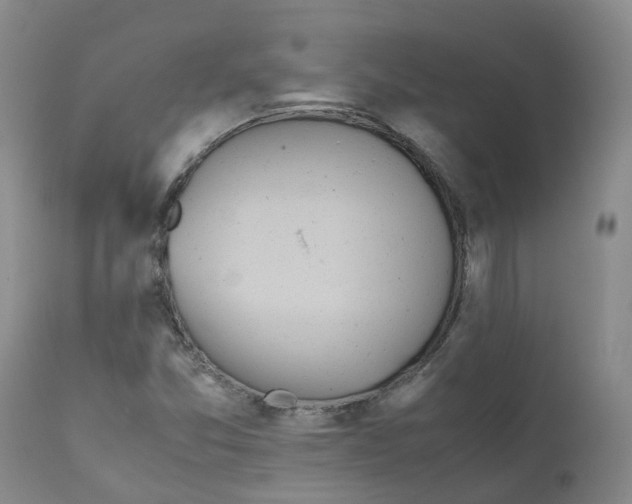 X0000111251357200907231543