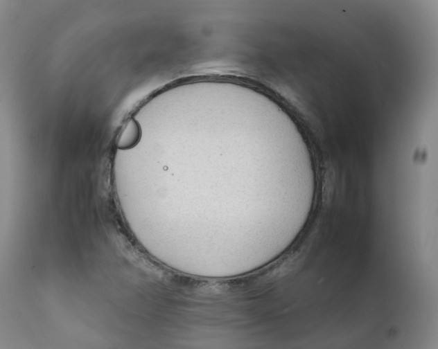 X0000111251358200907231543