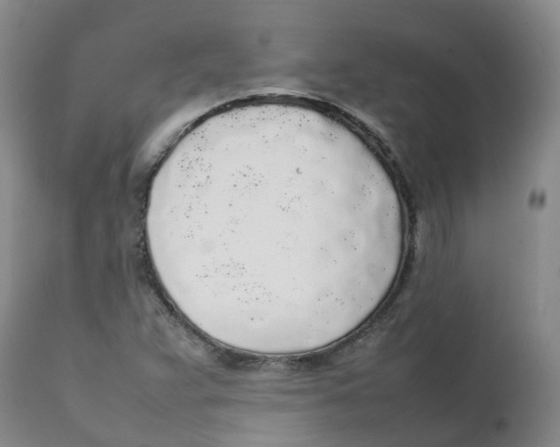 X0000111251359200907231543