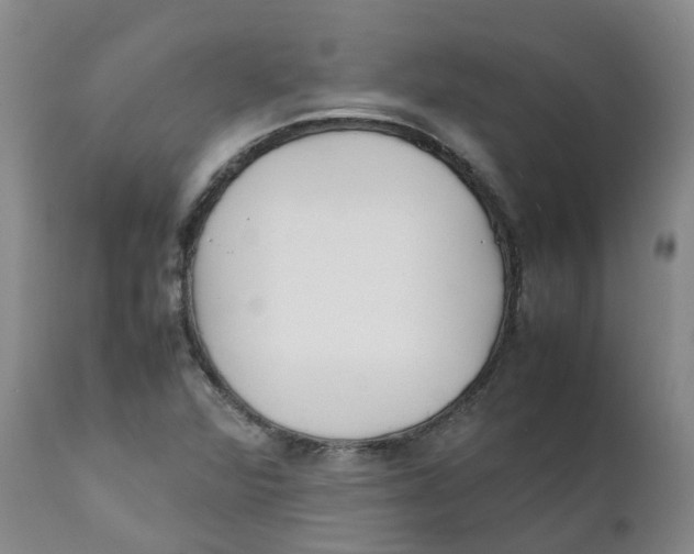 X0000111251360200907231543