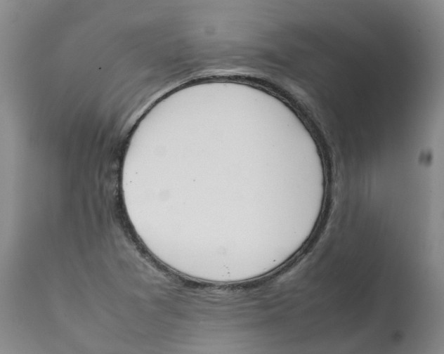 X0000111251361200907231543