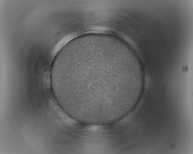 X0000111251362200907231543