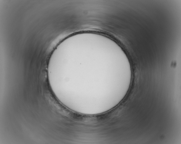 X0000111251363200907231542