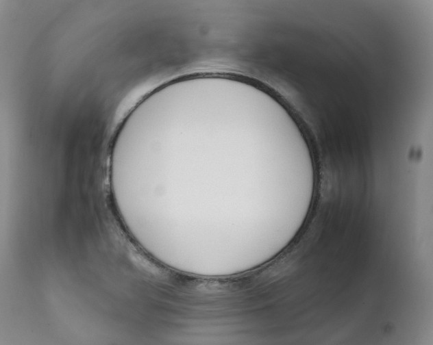 X0000111251366200907231542