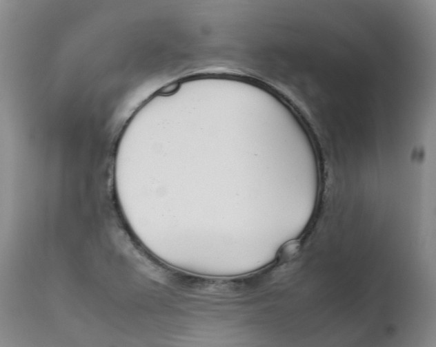 X0000111251367200907231542