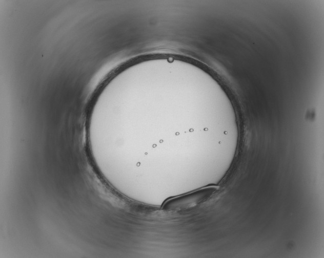 X0000111251368200907231542