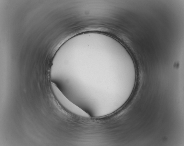 X0000111251369200907231542