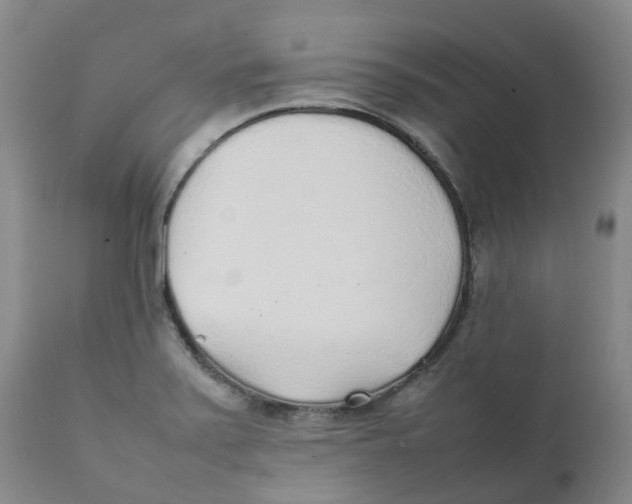 X0000111251371200907231542