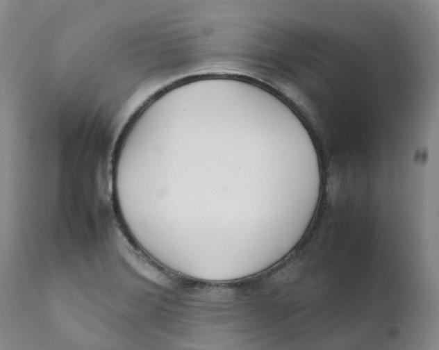 X0000111251372200907231542