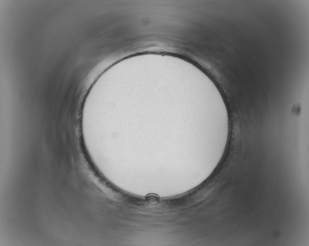 X0000111251375200907231542