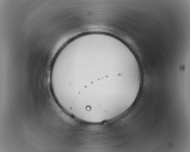 X0000111251376200907231542