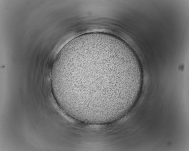 X0000111251377200907231542