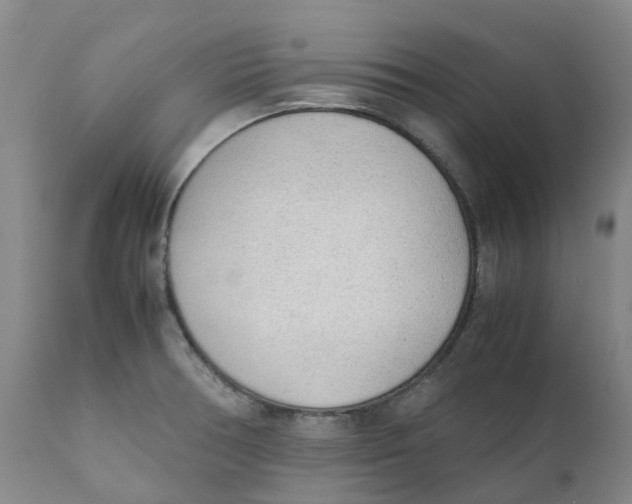 X0000111251378200907231542