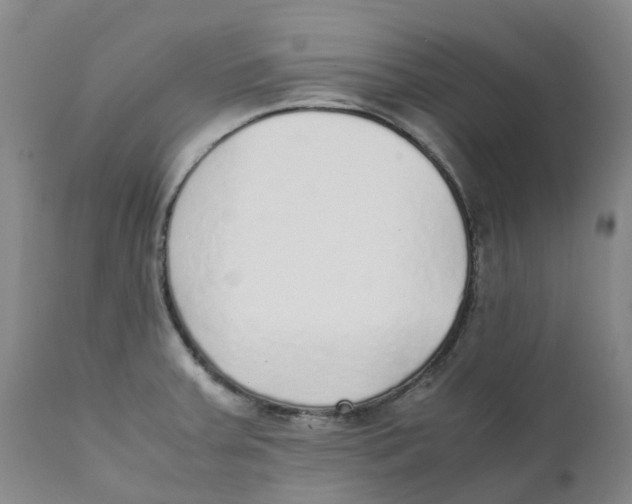 X0000111251379200907231542