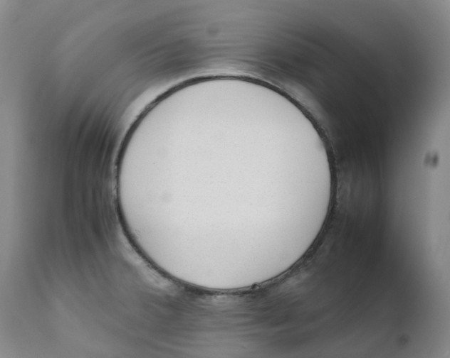 X0000111251380200907231542