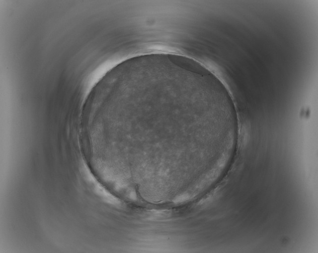 X0000111251381200907231542