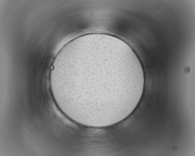 X0000111251382200907231542