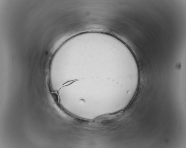 X0000111251383200907231542