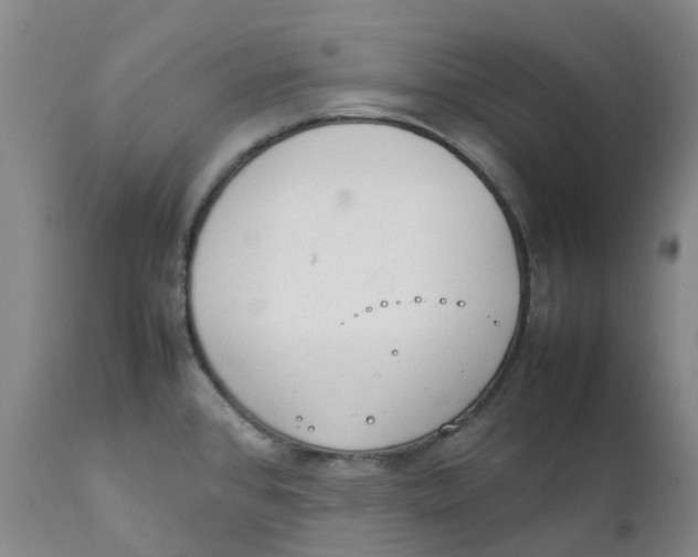 X0000111251384200907231542