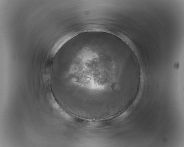 X0000111251385200907231542