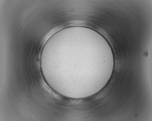 X0000111251386200907231542