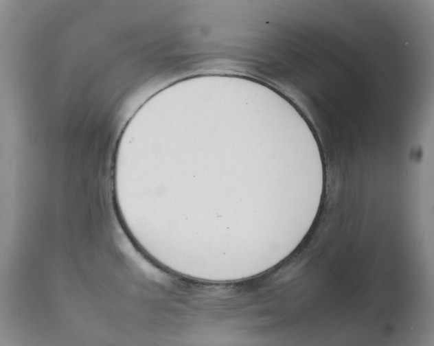 X0000111251387200907231542