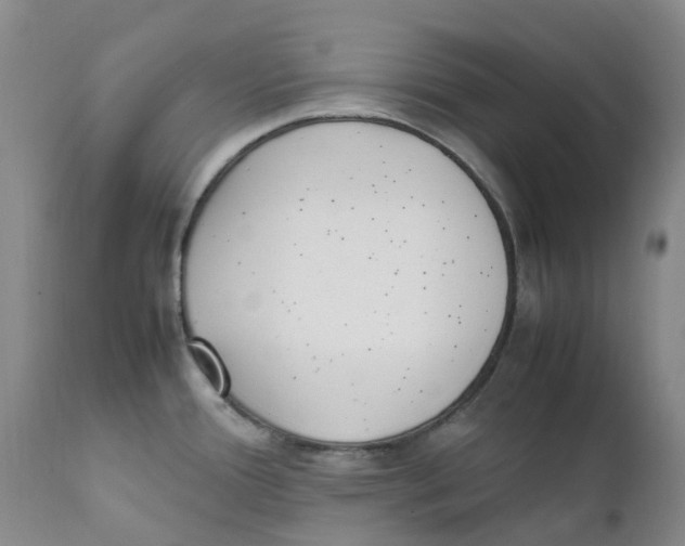 X0000111251388200907231542