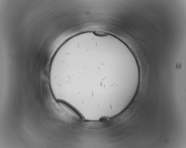 X0000111251392200907231542